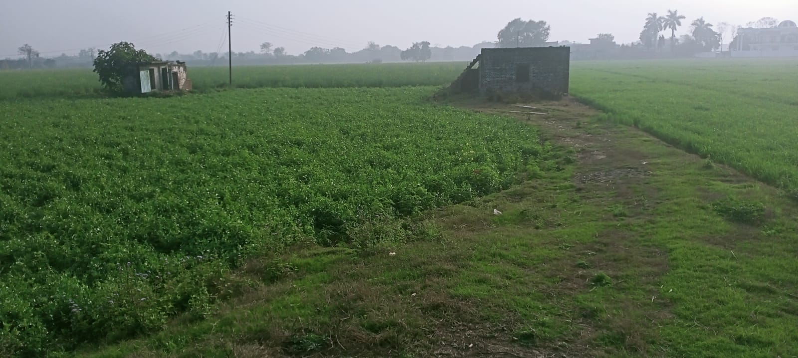 15 acre Agriculture Land