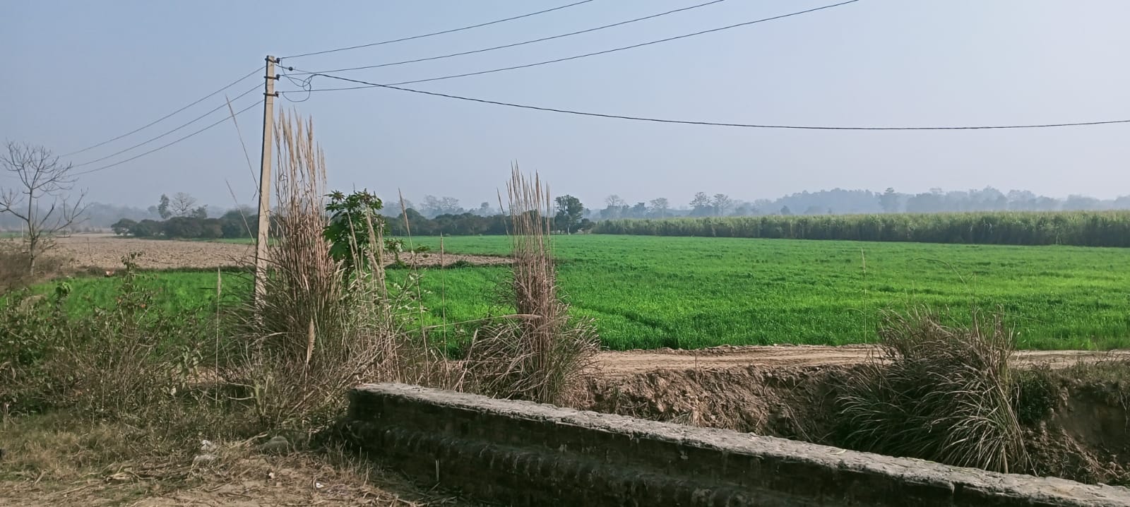 17 Acre Agriculture Land